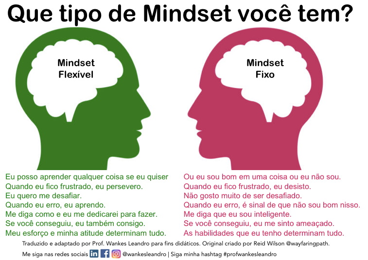 mindset flexível, mindset fixo, prof wankes leandro