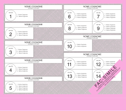 Sample ballot paper