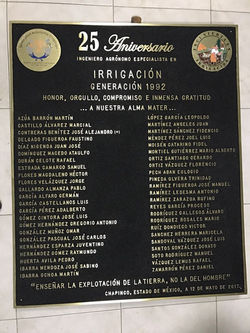 Placa Fundida en Bronce