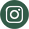 logo insta
