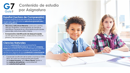 Contenido_asignatura_1.png
