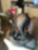 615821443_1370850271389749_5098036877849638588_n.jpg