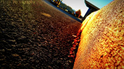 Red Curb