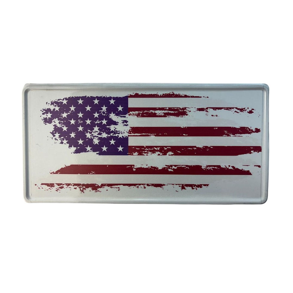 לוחית רישוי אמריקאית עם דגל ארה"ב