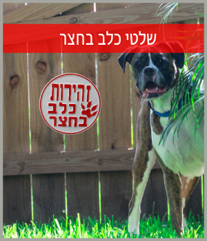 שלט כלב בחצר