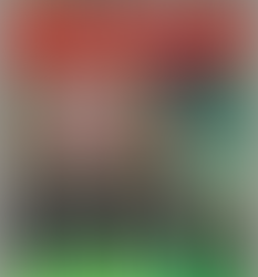 שלט כלב בחצר