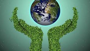 Dia Mundial do Meio Ambiente 2026: Cultivar a Terra, Cuidar do Futuro