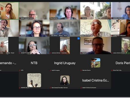 ABD e ABDSul participaram de reunião latino-americana promovida pela BFDI