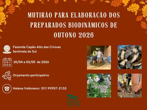 Mutirão para elaboração dos preparados biodinâmicos de outono acontece em Sentinela do Sul/RS
