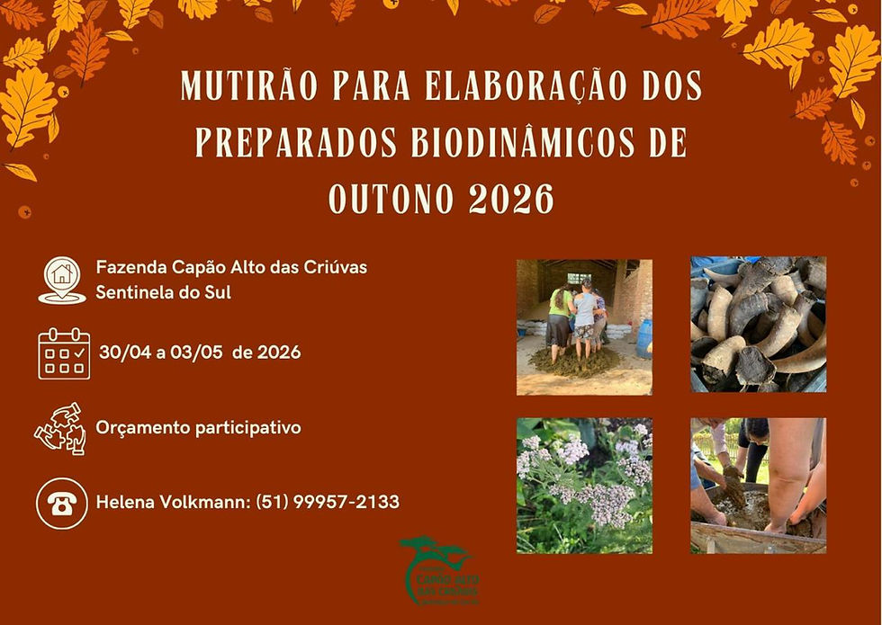 Mutirão para elaboração dos preparados biodinâmicos de outono acontece em Sentinela do Sul/RS