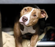 Capacity for Care:
Setting the Right Target & Finding Tools to Stay There