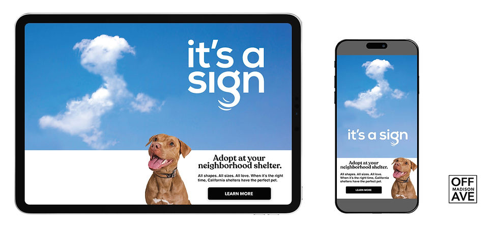 Sample Elements CalAnimals Campaign_Page_1.jpg