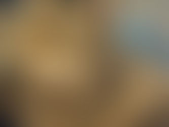 Purr Majesty, the Tabby cat.