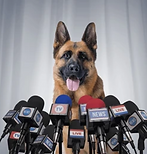 Crisis Eats Strategy for Breakfast – 
A Crash Course in Crisis Communications