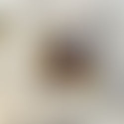 06.02.2022