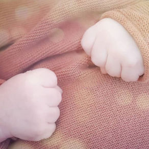 Mon dernier nouveau né