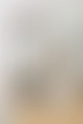 Elevated Abode Reveal, Part 3