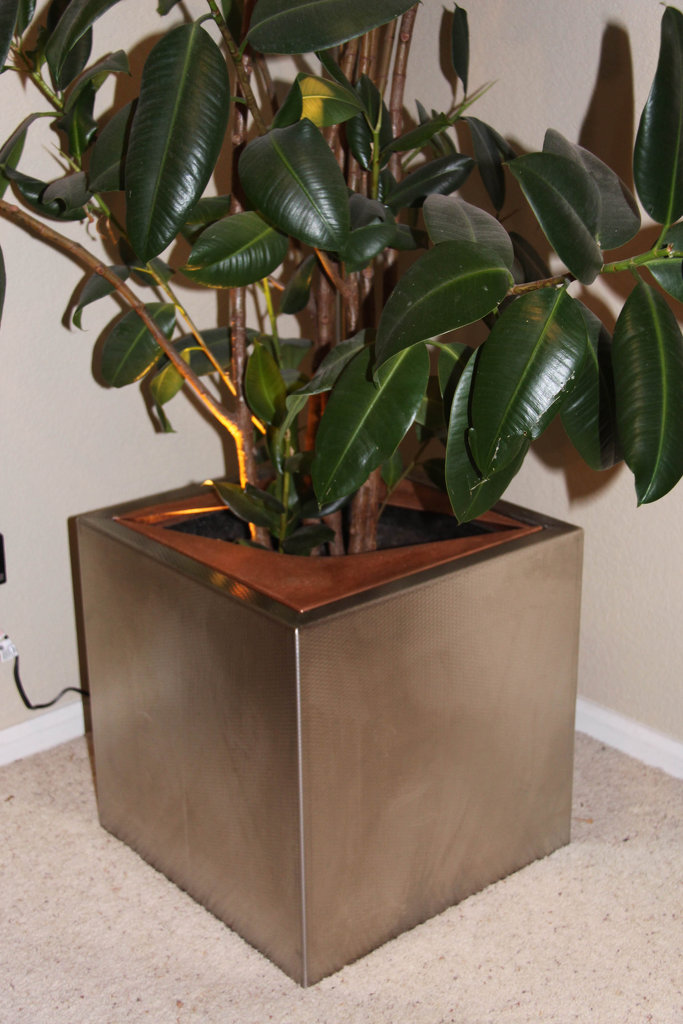 Ridigized Stainless Steel Planter