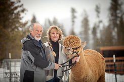 TerBest%20Alpaca%20and%20Fiber%20Farm_edited.jpg