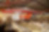 DSC00438+-+Copie-1920w_OK.jpg