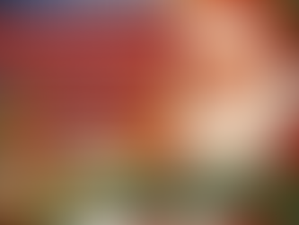 Giving Back to Our Seniors