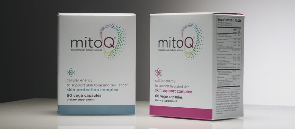 Lights, Camera, Action~