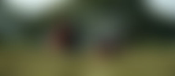 Do what you love and never work a day in your life!