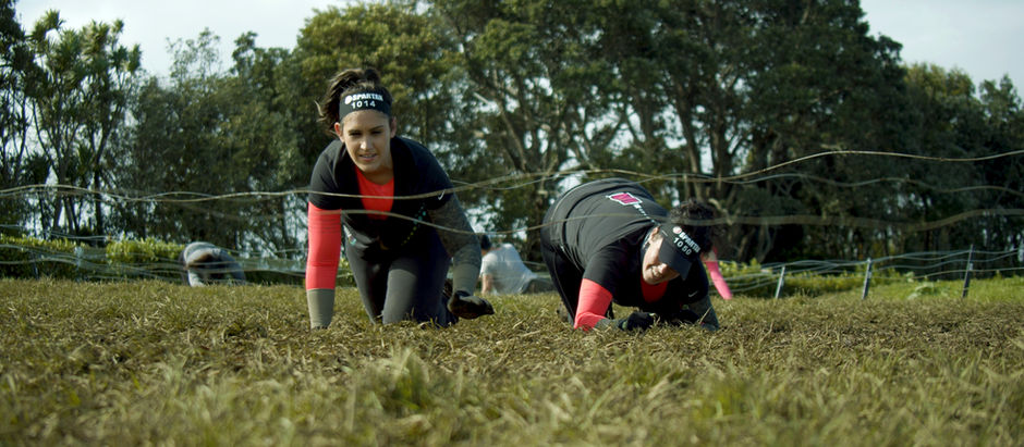 Do what you love and never work a day in your life!