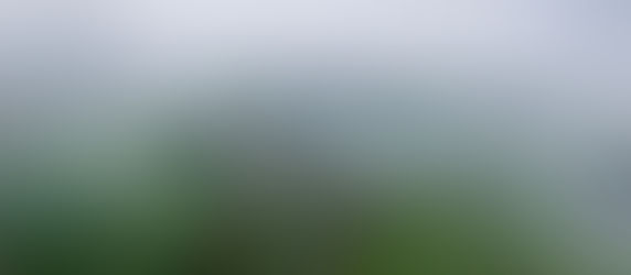 Rainy shoot days aren’t always bad!