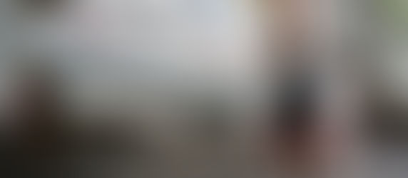 Introducing the Donkey