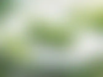 Plant based Vitamin D3