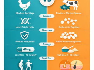 undenatured type ii chicken collagen