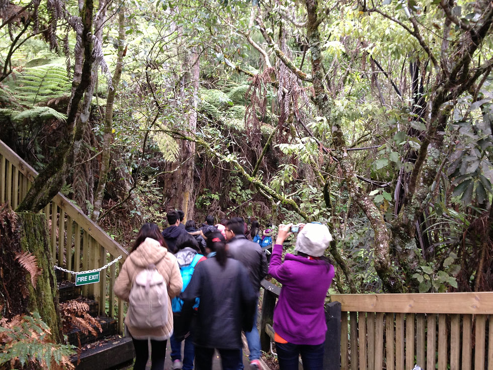 Waitomo