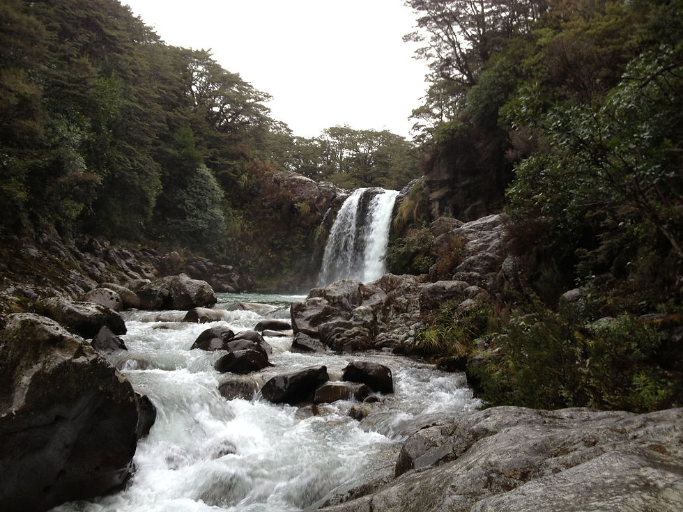 Tawhai