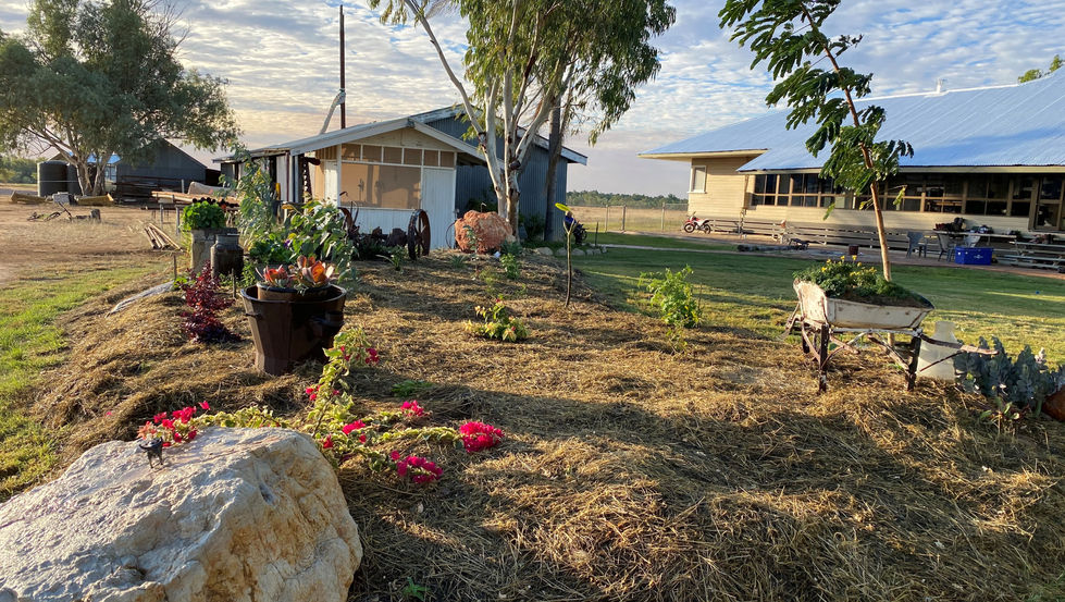 garden.jpg