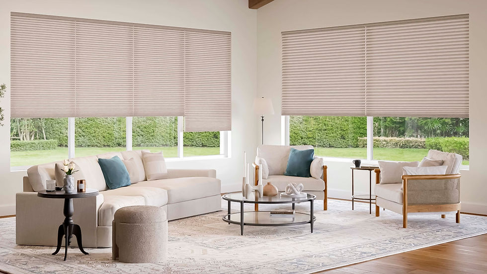 Captura de pantalla 2025-06-25 a la(s) 10.25.58 a. m._1.JPG