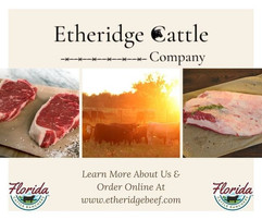 Etheridge Cattle Company