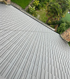 WhatsApp Image 2026-03-17 at 10.13.16.jpeg