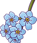 forget me nots.png