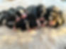 Puppy Pile.jpg
