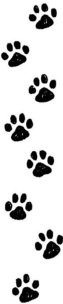 paw-print-border-dd10436_edited.jpg