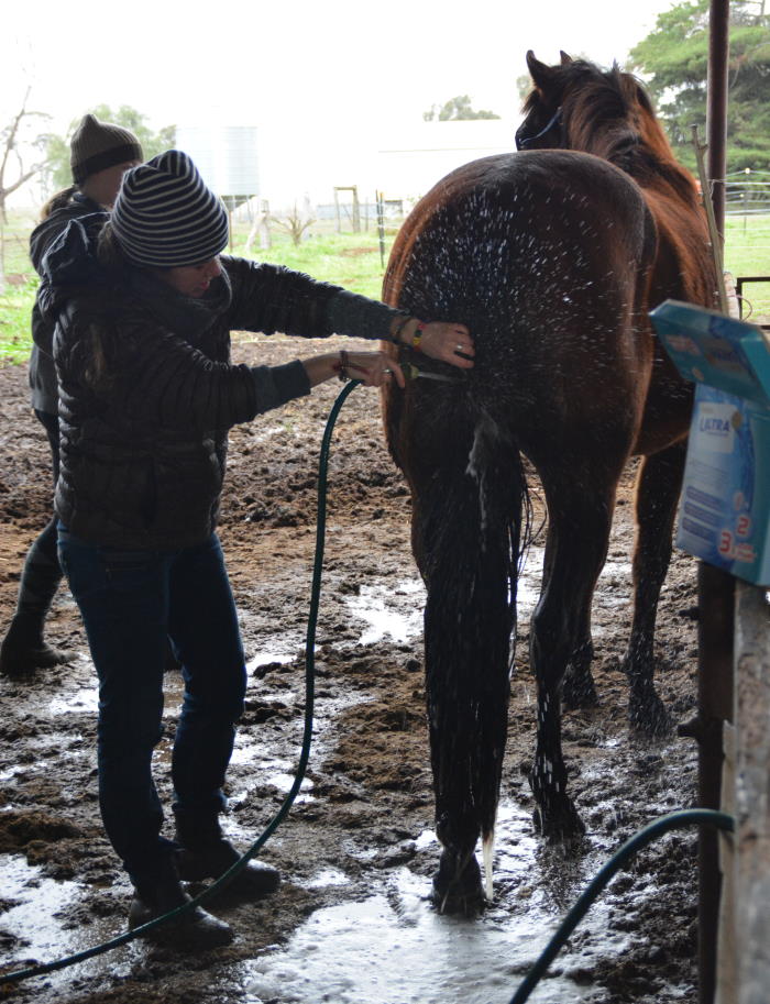 Tail Washing 2014