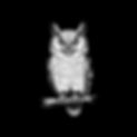 sketch an owl.jpg