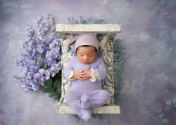 baby-photographer-lavender