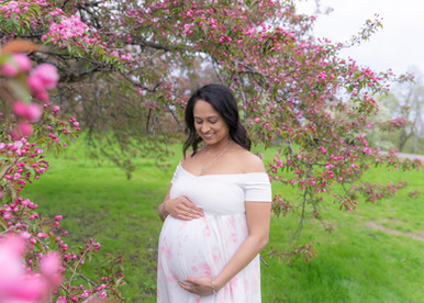 Ottawa Spring blossoms maternity session