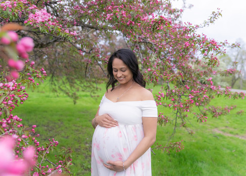Ottawa Spring blossoms maternity session