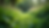 Eye-level view of a lush green garden with diverse plants