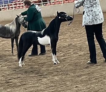 SC Chrome's Eye Candy 2.jpg