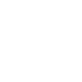 aloe-vera 2.png