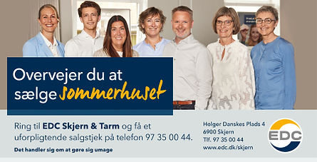 30387 - Annonce - stauningvesterstrand_dk.jpg
